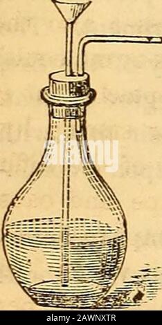 Wells' Prinzipien und Anwendungen der Chemie; . 202 ANORGANISCHE CHEMIE. Wasserstoff und die Entwicklung des Gases werden durch die Versorgung mit Säure reguliert. Mittels eines im Kork des erzeugenden Gefäßes montierten Trichterrohrs und der Absahnung von Witliin im Gefäß bis zu einem Punkt unterhalb der Höhe des enthaltenen Hquids (siehe Abb. 96) kann die Säure von Zeit zu Zeit in genau den Mengen zugegeben werden, die zur Herstellung der besten Wirkung erforderlich sind. Dieses Q-Trichterrohr kann kein Gas austreten, da die Extremität des Gefäßes immer durch die Flüssigkeit gefüllt ist. Die Theorie der Befreiung von Wasserstoff in diesem Prozess ist asf Stockfoto