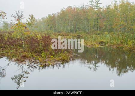 Hexen Brook oder Spring liegt in North Hollis, NH. Er gilt als einer der fruchtbarsten Forellenquellen im südlichen New Hampshire. Trinkwat. Stockfoto