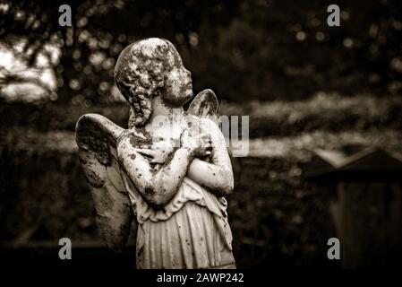 KILKENNY, IRLAND, 23. Dezember 2018: die Skulptur eines alten creepy Cherub Engel in der Mitte von einem Friedhof, voll von Flechten und Schimmel, hält seine Brust Stockfoto