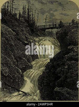 Exkursionszeit, 1878, Northern Railway of Canada und großartige Bahn- und Seeverbindungen. Die PRÄCHTIGEN DAMPFER H ARMENIA UND CUBA I Will Leave Custom House Wharf, TORONTO, every Yuesdiiw Thursday ai   J Saturday, AT 4 OCCLOCK, P. M., FOR OGUENSBURGHVia Kingston, Brockville and Prescott, PA88ING THROUGH THE FARFAMED THOUSAND ISLANDS, BY DAYLIGHT! Und die enge Verbindung am OGDENSBURGH mit Ogdensburgh und Lake Champlain sowie den Central Railways von Vermont, - FOK - Boston und allen Punkten von New England, An, I in TORONTO mit der Northern Railway - Writ LAKE SUPERIOR COLLINGWOOD LINE Von Ste Stockfoto