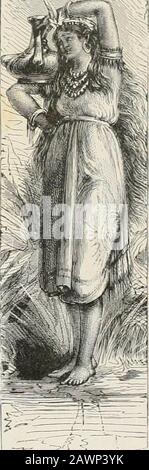 Cristóbal Cólon : su vida, sus viajes, sus descubrimientos . Stockfoto