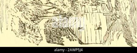 Die Geschichte eines großen NationOr, Die Errungenschaften Unseres Landes, Militär, Marine, Politik und Zivil. H C 39, wenn. Stockfoto