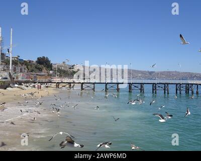 Caleta Portales ist ein Fischereihafen in Valparaiso Stockfoto