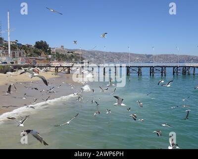 Caleta Portales ist ein Fischereihafen in Valparaiso Stockfoto