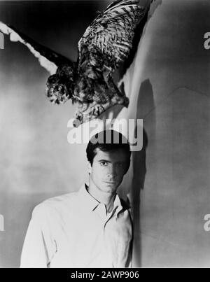 1960 , USA : Der Filmschauspieler ANTHONY PERKINS ( 4. april 1932 , New York - 12. september 1992 , Hollywood ) in PSYCHO von Alfred HITCHCOCK - KINO - FILM Stockfoto