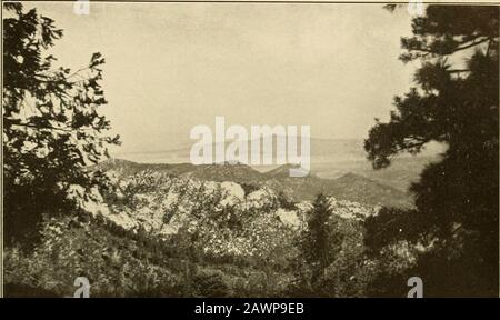 Die Vegetation einer Wüstenlandschaft, bedingt durch klimatische Faktoren. Shreve Platte 32. A. Blick nach Nordwesten vom Hauptkamm in Richtung Samaniego Kidge. Stockfoto