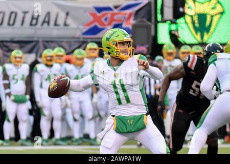 East Rutherford, New Jersey, USA. Februar 2020. Aaron Murray (11) von den Tampa Bay Vipers gibt einen Pass während eines Spiels gegen die New York Guardians im MetLife Stadium am 09. Februar 2020 in East Rutherford, New Jersey frei. Gregory Vasil/Cal Sport Media/Alamy Live News Stockfoto