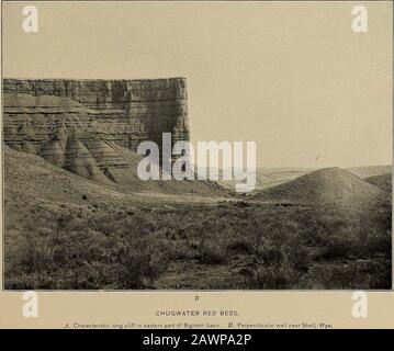 Geologie und Wasserressourcen des Bighorn Basin, Wyoming. STRATIGRAPHIE TRIAS. 19 Montana Line die Einbrüche nehmen ab und der Ausschnitt breitet sich über einen weiten Bereich aus, in dem die Formation mehrere kleine Hochebenen bedeckt und sich ostwärts weit nach oben über die Theslope der Berge erstreckt. Die Hebung Des Sheep Mountain belichtet etwa 80 Quadratmeilesrote Betten auf beiden Seiten des Bighorn River von der nahe der Einmündung des Shell Creek in die Thymikität von Lovell. Entlang der westlichen Seite des Beckens ist die Ausschnittzone gen-erally schmal, aber sie ist auf beiden Seiten von Rattlesnake und Cedar Bergsand entlang der Basis von vorhanden Stockfoto