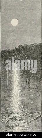 Cristóbal Cólon : su vida, sus viajes, sus descubrimientos . Stockfoto