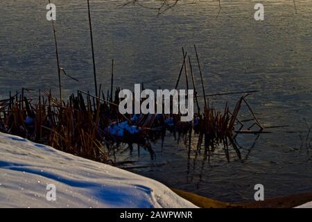 Winter Scenic Stillleben der Marsh Vegetation, der Texas Panhandle. Stockfoto