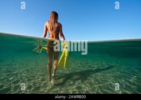 Attraktive, fit-Frau geht zum Schnorcheln in Lahaina, Maui, Hawaii Stockfoto