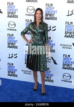 Santa Monica, Kalifornien, USA 08. Februar 2020 Terri Seymour nimmt an den Film Independent Spirit Awards 2020 am 08. Februar 2020 in Santa Monica, Kalifornien, USA, an. Foto von Barry King/Alamy Stock Photo Stockfoto