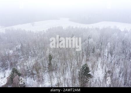 Blick auf einen gefrorenen Winterwald mit schneebedeckten Bäumen. Nebelige ländliche Landschaft Stockfoto