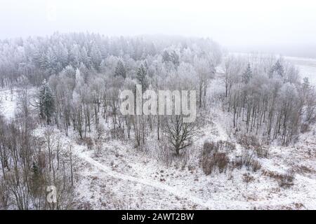 Der Hoarfrost bedeckte gefrorene Bäume in einem Wald, winterliche Nebellandschaft, Luftbild aus der Drohne Stockfoto