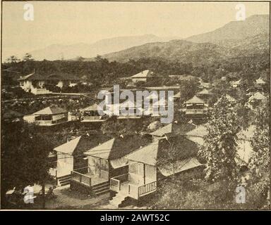 Gesundheit in Haus und Stadt, eines der wichtigsten Mittel, um es zu unterdrücken. Andere Krankenhäuser nehmen nur die frühen und prob-befähigen Verbrauchsmittel ein. Die in den Krankenhäusern geheilten Personen sind in der Regel in der Lage, die Arbeit und die Orte in der Gemeinde wieder aufzunehmen. Sie werden zu wichtigen Zentren bei der Verbreitung von Informationen über die Heilung von Konsumtion und über hygienische Lebensweisen. Die Tuberkulose Dispensary. - Viele große Zitieswarten Dispens für die Anerkennung und Behandlung von Tuberkulose. Hier kann jeder, der nicht für eine medizinische Beratung bezahlen kann, ohne Anklage auf Tuberkulose untersucht werden.Wenn er an dieser Krankheit leidet Stockfoto