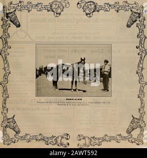 Züchter und Sportler . VOLUMEN LV. Nr. 25. SAN FRANCISCO, SAMSTAG, DEZEMBER -,S, 1909. Abonnement: 3,00 Usd Pro Träne. Der ZÜCHTER UND SPORTLER [Samstag, 18. Dezember 1909. DESTILLIERTES IFERNLOC TM#-NAME REGISTRIERT ?/^^^^^-PATENTIERT, 21. APRIL 1908- EXTRAKT Stockfoto