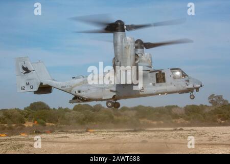 Ein US Marine Corps MV-22 Osprey mit der Special Purpose Marine Air-Ground Task Force-Crisis Response-Africa 20.1, Marine Forces Europe and Africa, landet im Betankungsgebiet während Des Trainingskampfes Goose auf der Naval Station Rota, Spanien, 5. Februar 2020. Der Zweck von Combat Goose besteht darin, Luftfahrt-Bodenbetankungsoperationen (ADGR) durchzuführen, um Flexibilität, Möglichkeiten zum Auftanken an jedem beliebigen Standort zu demonstrieren und die Fähigkeit zu verbessern, schnell und effektiv auf jede Krise zu reagieren. SPMAGTF-CR-AF wird eingesetzt, um Krisenreaktionen und Sicherheitsoperationen in Afrika durchzuführen und zu fördern Stockfoto