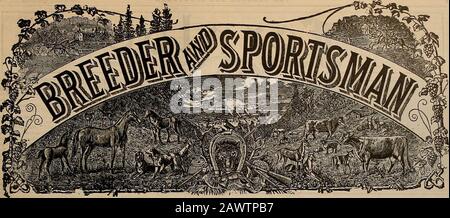 Züchter und Sportler . Selby SCHMELZEN & LEAD CO., San Francisco, Cal. Wenn Man Für Ergebnisse wirbt - Züchter und Sportler. VOLUMEN LV. Nr. 24. SAN FRANCISCO, SAMSTAG, 11. DEZEMBER 1909. Abonnement: 3,00 USD Pro Jahr. Falls, TY Stockfoto