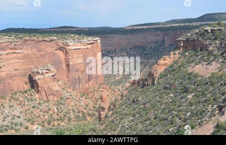 Frühsommer in Colorado: Fallen Rock im Upper Ute Canyon Von Overlook Entlang Rim Rock Drive im Colorado National Monument Stockfoto