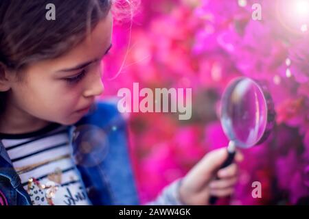 Ein kleines Mädchen, das durch Lupe auf Pflanzen im Freien blickt. Kinder-, Entdeckungs- und Botanik-Konzept Stockfoto