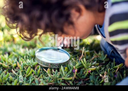 Ein kleiner Junge, der durch Lupe bei Pflanzen im Freien schaut. Kinder-, Entdeckungs- und Botanik-Konzept Stockfoto