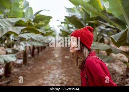 Frau als Touristin oder Bäuerin, die sich beiläufig in rotem Hemd und Hut kleidete, die auf der jungen Bananenplantage spazieren ging. Konzept des grünen Tourismus oder des exotischen Obstbaus Stockfoto