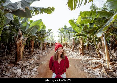 Frau als Touristin oder Bäuerin, die sich beiläufig in rotem Hemd und Hut kleidete, die mit einer reichen Ernte auf der Bananenplantage spazieren ging. Konzept des grünen Tourismus oder des exotischen Obstbaus Stockfoto