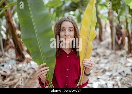 Porträt einer jungen Frau, die sich hinter frischen und trockenen Bananenblättern auf der Plantage versteckt. Hautpflegekonzept Stockfoto