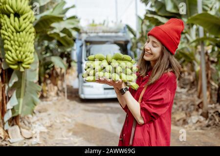 Portrait einer jungen Frau als Touristin oder Arbeiterin, die während einer Erntezeit Bananenstamm auf der Plantage mit LKW auf dem Hintergrund trägt Stockfoto