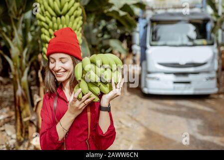 Lächelnde Frau, die während einer Erntezeit mit LKW auf dem Hintergrund Stamm frisch pickedup grüner Bananen auf der Plantage trägt Stockfoto