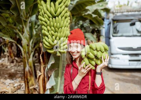 Lächelnde Frau, die während einer Erntezeit mit LKW auf dem Hintergrund Stamm frisch pickedup grüner Bananen auf der Plantage trägt Stockfoto