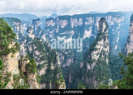 Landschaft des Zhangjiajie National Forest Park, UNESCO-Weltkulturerbe, Wulingyuan, Hunan, China Stockfoto