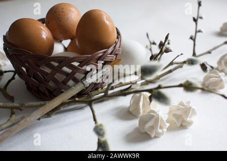 Nisten Sie mit weißen und braunen Hühnereiern und Wachteleiern, Weidenzweige Stockfoto