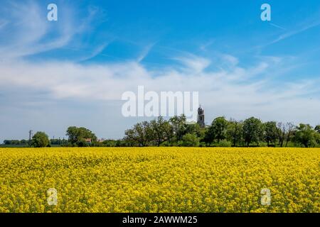 Schöne gelb blühende Rapsfeld mit kristallklarem blauen Himmel und Wolken und Kirche von Saint Ilia der Prophet auf Hügel im Hintergrund, bunte Landschaft in der Nähe von Dorf Badeshte, Südbulgarien Stockfoto