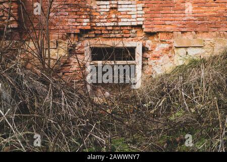 Zerstörte Mauer. Altes überwuchertes Fenster in Ziegelmauer aus ruiniertem Gebäude Stockfoto