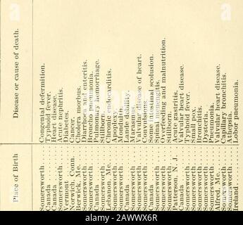 Einnahmen und Ausgaben der Stadt Somersworth für das letzte Jahr. . "; ^S KI SLmOmr. J " O ^ 2 O X i^ M C^ CO J 6 X X K X t^ 33 O X ?* X M CB X * i^ X M ffl •tOiNMN-HiO-H -CO -r-iMrt --HiOM-O • O CO O RH lo •" -(NCO-H-H • iOTJ&LJ; -TJ; ® O • •QX20 0" = E J? =" b 33 O 73 RO c3 i* oj3.a 5^5 5 2x§f IH-*!OMrHC i a 5 g S 5^-..S a r o 5 M ?*-H ffl£&gt; ON ?* C 3^ • 0 o-a i^." S.2m i-o^" T- a^^t&a^t; a ^ a. S-; &lt;i-J 2  ^:3 c3 *^ ffl en a*^ a •a OS :". Stockfoto