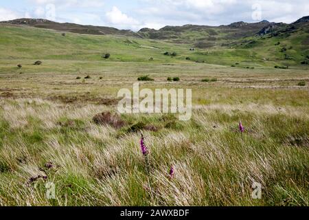 Moel Eilio Schiefersteinbrüche, die sich unterhalb der Hänge des Craig Ffynnon t Tals des Afon Porth-Llwyd oberhalb des Conwy Valley Snowdonia North Wales schmiegen Stockfoto