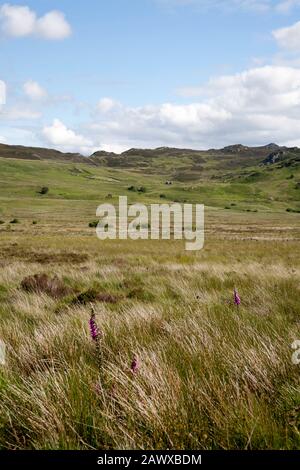 Moel Eilio Schiefersteinbrüche, die sich unterhalb der Hänge des Craig Ffynnon t Tals des Afon Porth-Llwyd oberhalb des Conwy Valley Snowdonia North Wales schmiegen Stockfoto