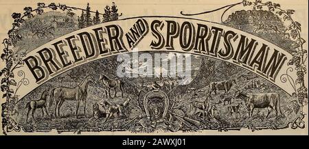 Züchter und Sportler . Verbessern Sie Ihre Condition-Kompetenz in Unserer Weihnachtszahl! VOLUMEN LV. Nr. 20. SAN FRANCISCO, SAMSTAG, 13. NOVEMBER. Im Jahr 1909. Abonnement: 3,00 Usd Pro Jahr. ???Mk-urf-± Stockfoto