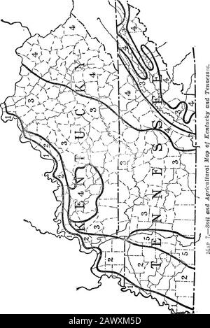 Hinweise für Hausangestellte; ein Handbuch der landwirtschaftlichen Möglichkeiten . Abbage, Melonen usw. sind umfangreich. Orangen und Traubenfrüchte sind hauptsächlich auf die Hälfte des Staates beschränkt, da sie häufig im Thenorthen-Anteil auffallen. Im westlichen Teil des Bundesstaats wird erheblicher Tabak angebaut, und Ananas werden in einem weiter südlich gelegenen Bereich ausgiebig angehoben. Einige allgemeine Landwirtschaft und Baumwollraisingis werden zwar nicht sehr extensiv betrieben. Die klimatischen Bedingungen, die in Florida herrschen, sind erfreuen, die Winter sind sehr mild und da es im Sommer immer eine Brise gibt Stockfoto