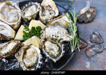 Frische Austern Meeresfrüchte auf schwarzem Plattenhintergrund / offene Austernschale mit Kräutergewürzt Zitronenrosemary serviert Tisch und Eis gesunde Meeresfrüchte Rohauster Stockfoto