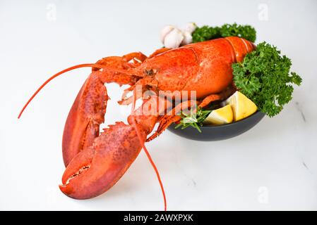 Frische Hummerkost auf einer Schüssel und weißer Tischhintergrund / rotes Hummerabendessen Fisch und Meeresfrüchte mit Kräuterwürzen Zitronen-Rosmarin serviert Tisch und im Restaurant Stockfoto