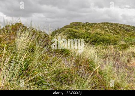 Eindruck von Spiekeroog, eine der Ostfriesischen Inseln an der Nordsee in Deutschland Stockfoto