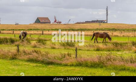 Eindruck von Spiekeroog, eine der Ostfriesischen Inseln an der Nordsee in Deutschland Stockfoto