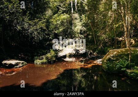 Schöne Silhouette Hoher Kontrast Schatten und kurvenreicher Wasserstrom im tropischen Wald im Nationalpark Phu Kradueng, Loei - Thailand Stockfoto