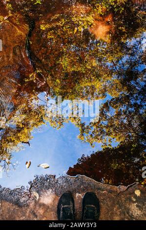 Füße geschossen und schöne Baumblätter Schatten und blauer Himmel reflektiert auf Wasseroberfläche im tropischen Wald im Phu Kradueng Nationalpark, Loei - Thailand Stockfoto