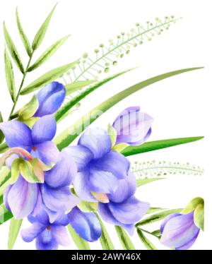 Morgenglanzblüte mit Wasserfarben, Frühlingsblumen und grünen Blättern. Vektor Stock Vektor