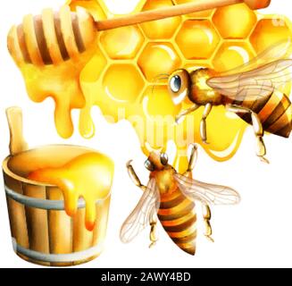 Honigwabarbenset mit Wabe und großer Biene, die den Eimer fliegen und füllen. Platz für Text. Vektor Stock Vektor