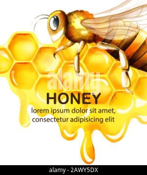Honigwabarbenset mit Wabe und großer Biene fliegen. Platz für Text. Vektor Stock Vektor