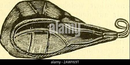 Narkologie : ein Handbuch der Wissenschaft über die allgemeine und lokale Schlagerei (Narkosen und Methoden der lokalen Anasthesie) : in 2 Bänden mit zahreichen Abbildern . Ohloroluniiuiaske nach Skiinier. (.lilüiofonnmaskenach V. Esmarcb. Schimmelbusch hat eine Verändung- insofern angeeben, als er eineserlegbare maske konstrukiert, die man besser mit sich über Land führen kann, man findet sie in den Figur 105 und 106 abbildet. Fiffur 105. Stockfoto